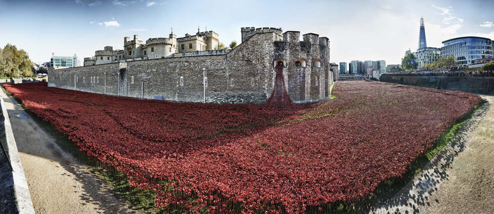 Ceramic Poppies at Tower of London